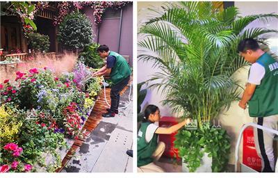 武漢辦公室植物租賃養(yǎng)護(hù)指南 選擇綠叢園林的3大理由